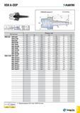 1128 HSKA-ODP T-FLEX i EC - Обозначение Размеры (мм) SS Tsi D1 D2 L L1 L3 HSK A 63 ODP 6x59 63 M6 9 8 11 5 59 33 25 ODP 6x109 63 M6 9 8 23 0 109 83 75 Каталог TAEGUTEC 2015 Металлорежущий инструмент и инструментальная оснастка для металлообрабатывающих станков Точение Фрезерование Сверление Стр. G59