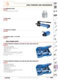 620 SPECIALIST TOOLING HOLE PUNCHES AND ACCESSORIES LUBRICATING PASTE 986107 For lubricating screws and drive shafts PUMP ONLY 985945 HYDRAULIC CYLIN Каталог FACOM 2005 Профессиональный ручной инструмент для предприятий и мастерских Стр. 623 ENG