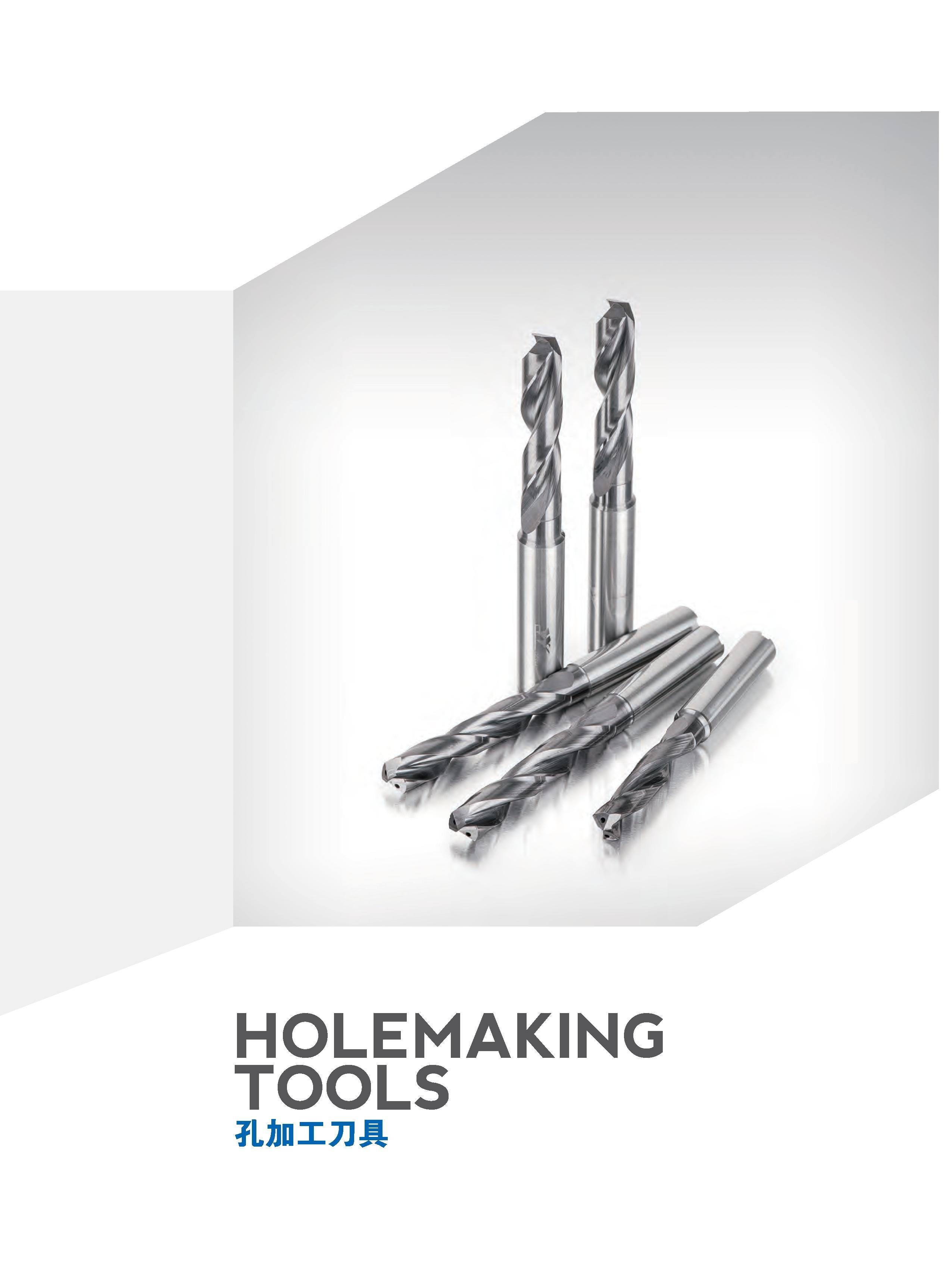 492 HOLEMAKING TOOLS 孔加工刀具 Каталог GESAC 2015 Металлорежущий инструмент для промышленного станочного оборудования Токарные резцы со сменными режущими пластинами Фрезы сборные и монолитные Сверла Стр. 486