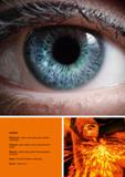 31 HAZARDS Mechanical - impact, chips, grains, dust, splinters, solid bodies Chemical - gases, vapours, acids, smoke, fine dust, liquids Thermal - m Каталог HOFFMANN GROUP 2020 Средства индивидуальной защиты органов зрения дыхания кожи СИЗ от поражения электрическим током шума Защитные перчатки Очки Специальная одежда Стр. 31