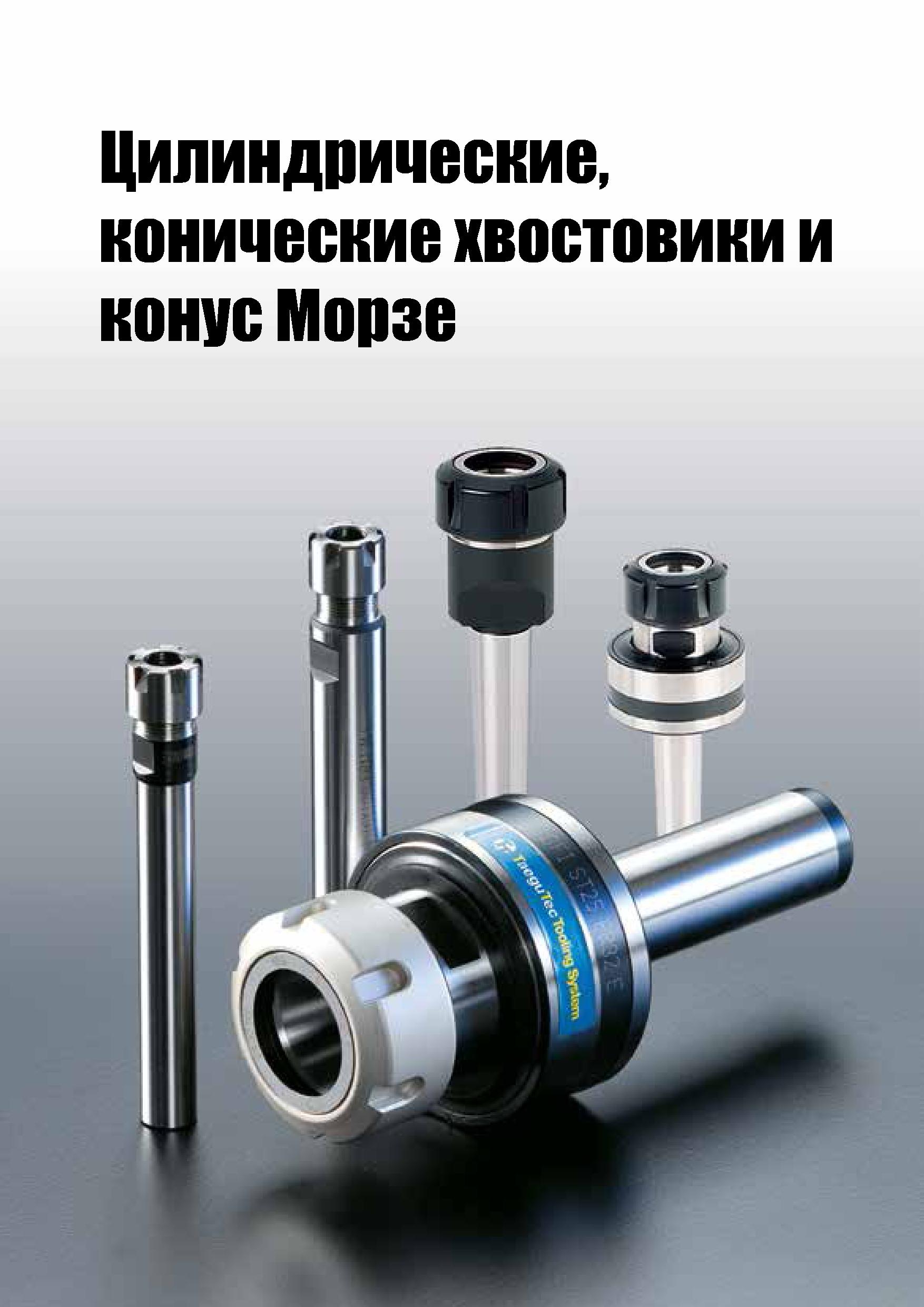 928 Цилиндрические, конические хвостовики и конус Морзе Каталог TAEGUTEC 2020 Вращающийся режущий и вспомогательный инструмент по металлу Твердосплавные пластины Сборные фрезы с СМП Монолитные фрезы и сверла Инструментальные патроны Стр. G113